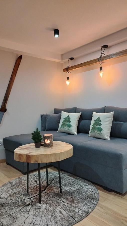 U Gazdy - Apartament Z Ogrodem I Tarasem , Przy Gondoli Szczyrk Εξωτερικό φωτογραφία